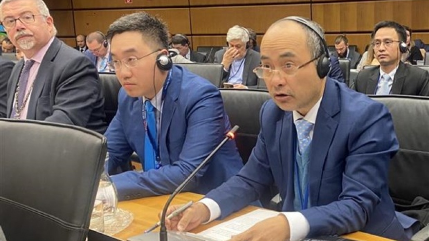 Vietnam reiterates support for major pillars of IAEA